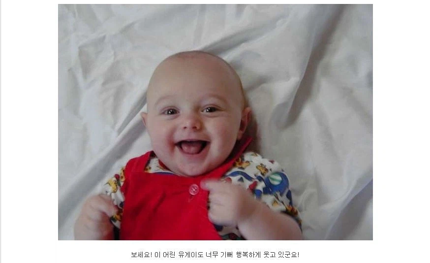 유게 전설의 빌런 괴도자지의 필력_7.webp