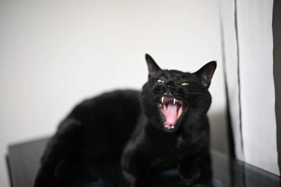 빚 갚을때 정신을 붙잡아준것...._9.webp