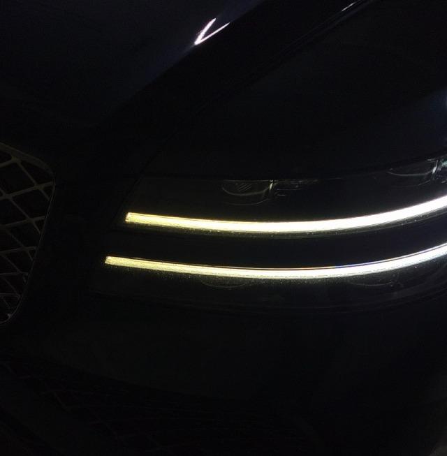 황달눈은 정상입니다~