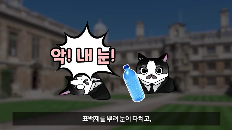 ???: 미개한 동아시아와는 달리 선진 서양에서는 신고식 같은 부조리가 없다_29.webp