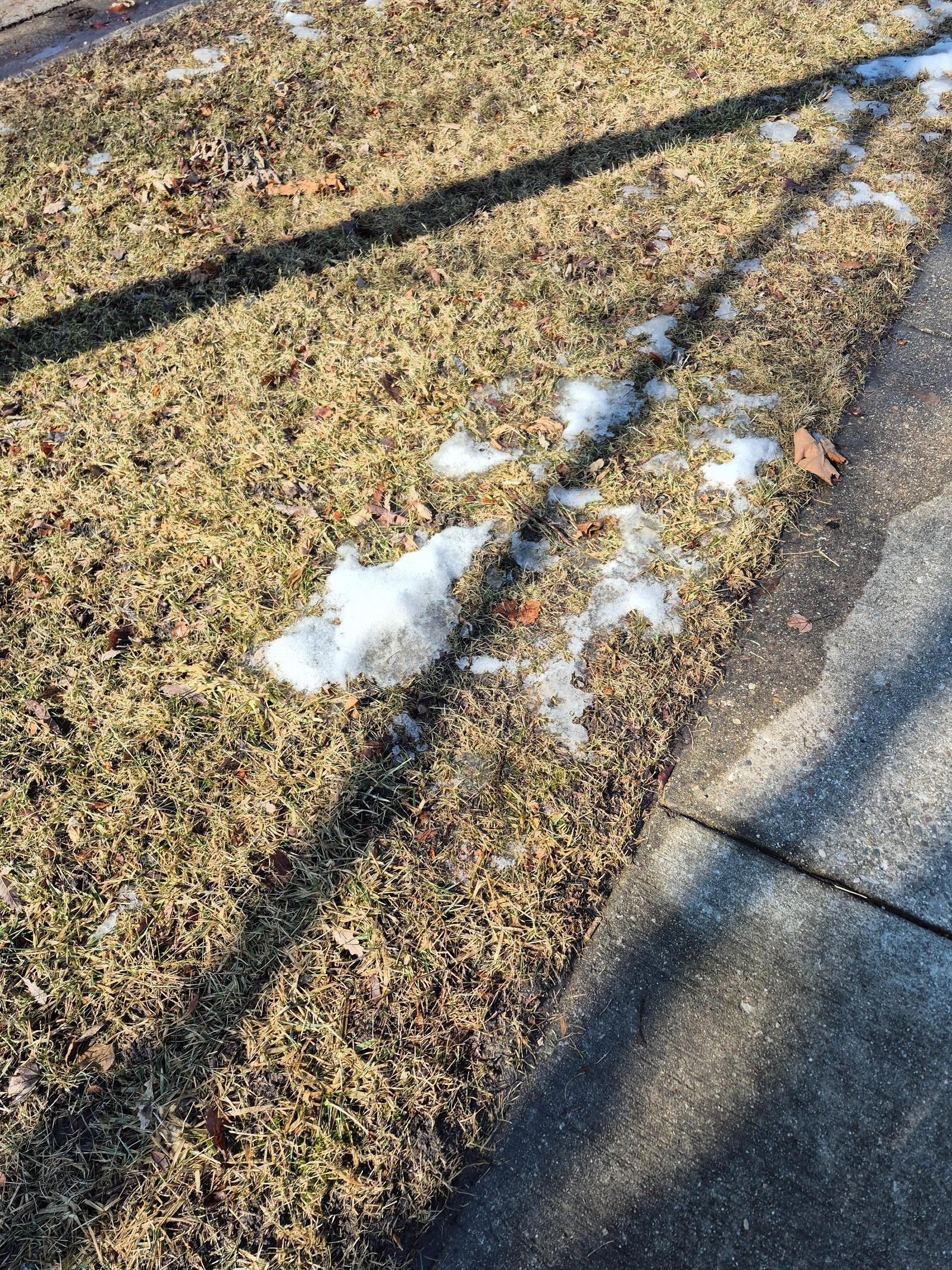 겨울이 녹고 있네요^^