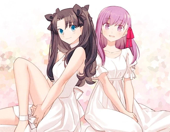 페이트) 타입문 공인 양다리 걸친 시로를 만난 토키오미 반응