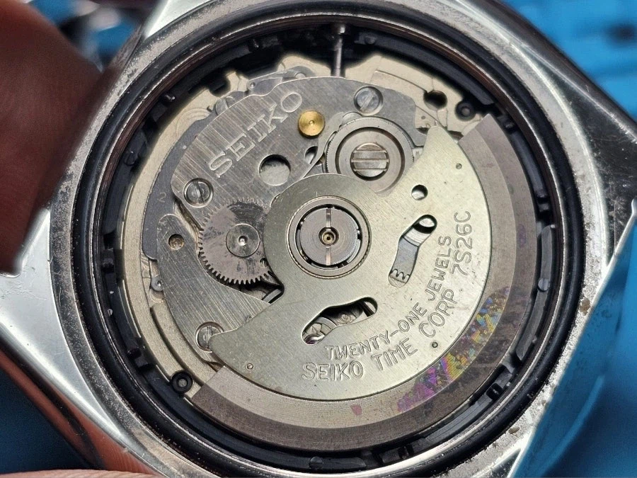 산호초 시계 에디션_4.webp