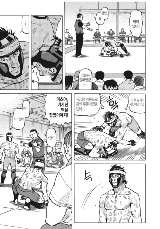 수싸움과 전략의 묘미가 좋았던 종합격투기(슈토) 만화_10.webp