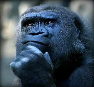 스포 ) 의외로 종교인과 비종교인의 반응이 일치하는 영화_3.jpg