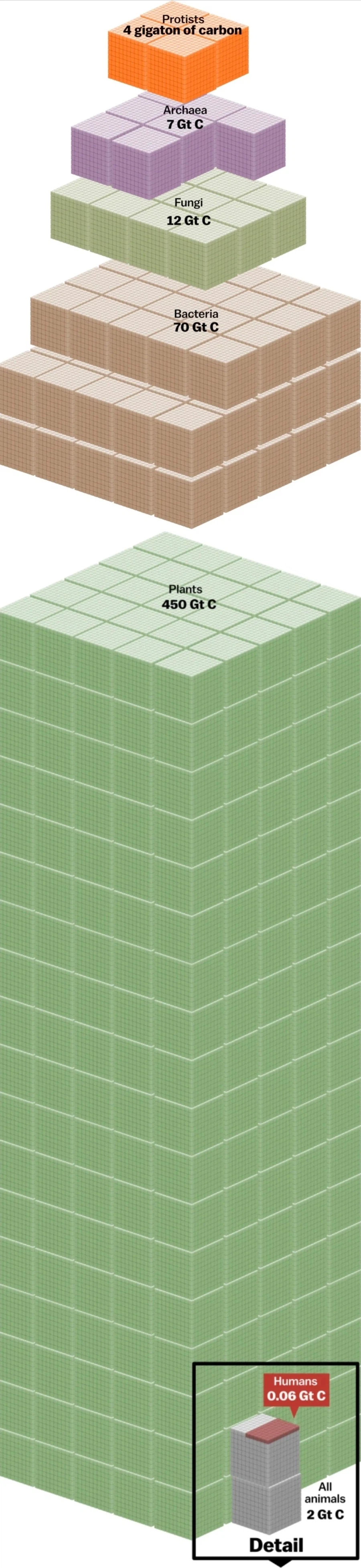 지구상에서 인간이 차지하는 머릿수.jpg