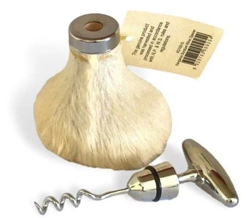 캥거리 수컷이 인간에게 적대적인 이유_4.webp