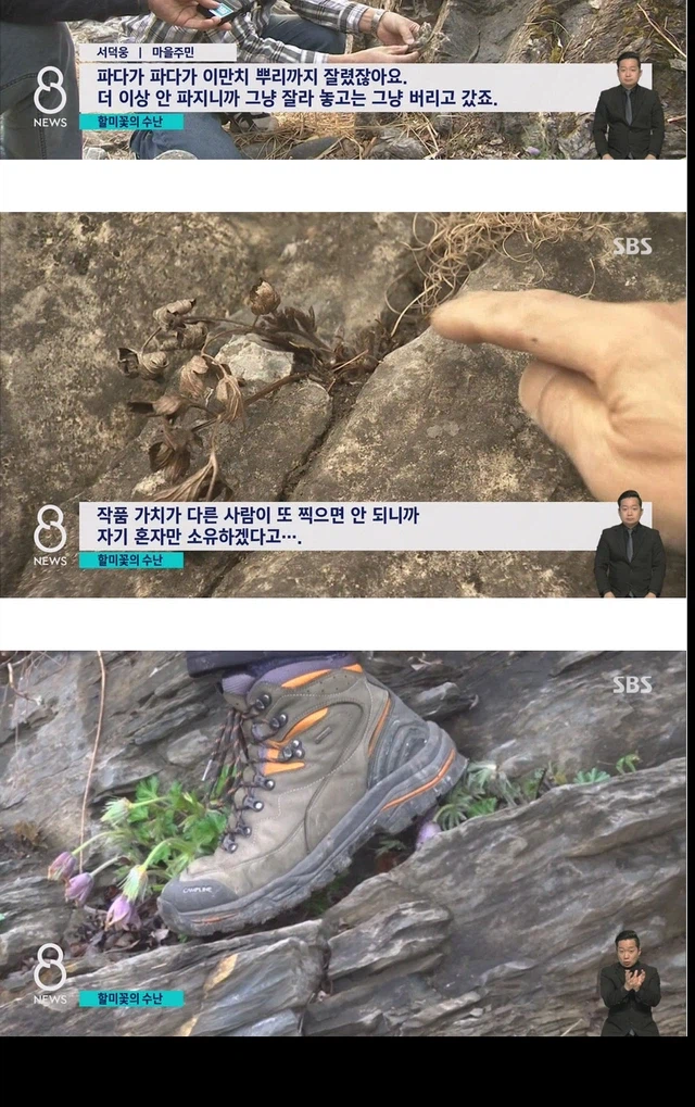 사진 작가들이 사진 찍고 훼손하는 이유.jpg_4.webp