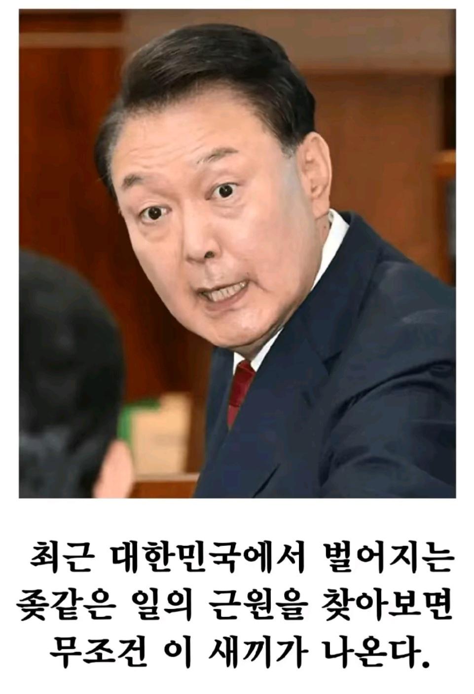 룬두창 무ㅇ뇌 정부 기대도 안했음