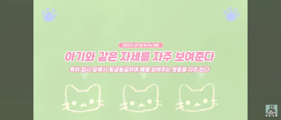 고양이가 집사를 