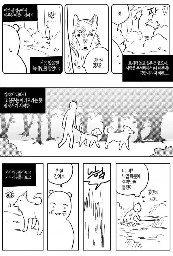 산에서 길 잃은 사람을 도와준 유기견.jpg_2.webp