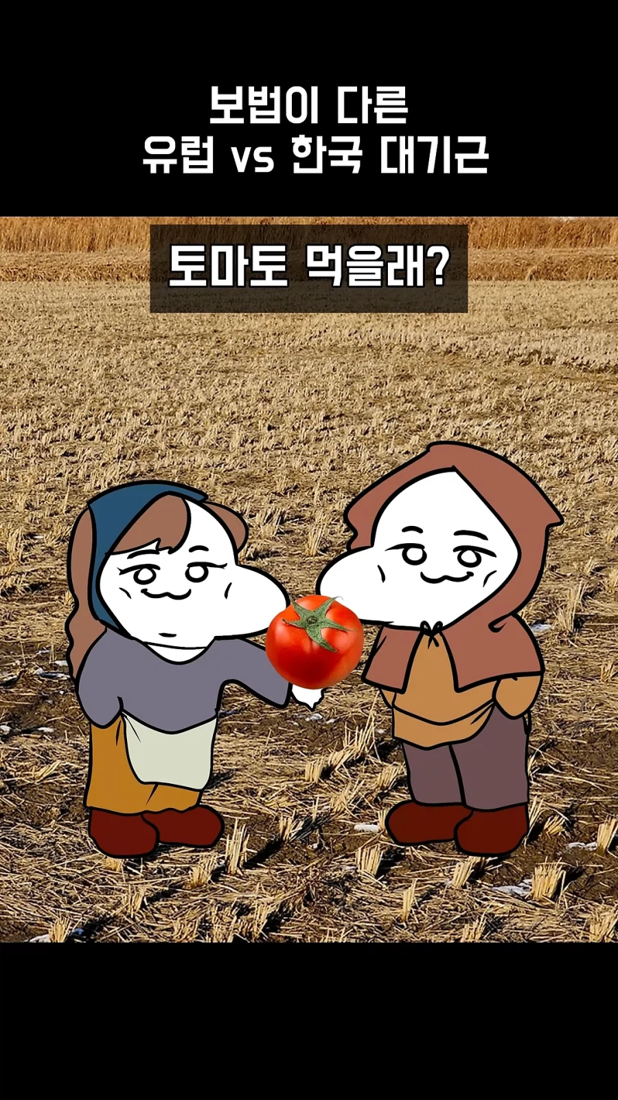 보법부터 다른 유럽 대기근_11.webp