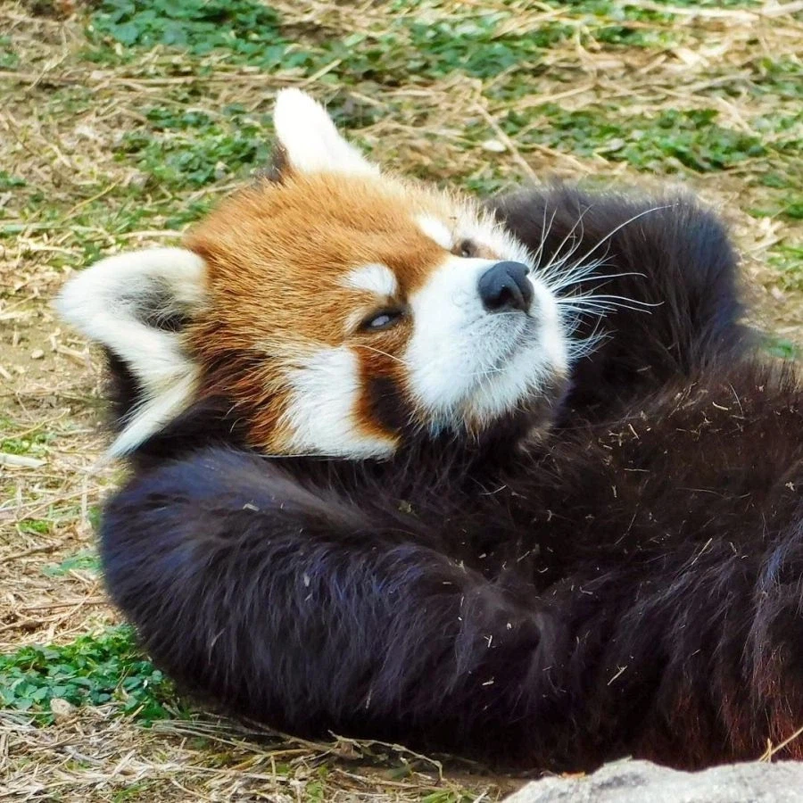 나 사실 병을 앓고있어.._2.webp