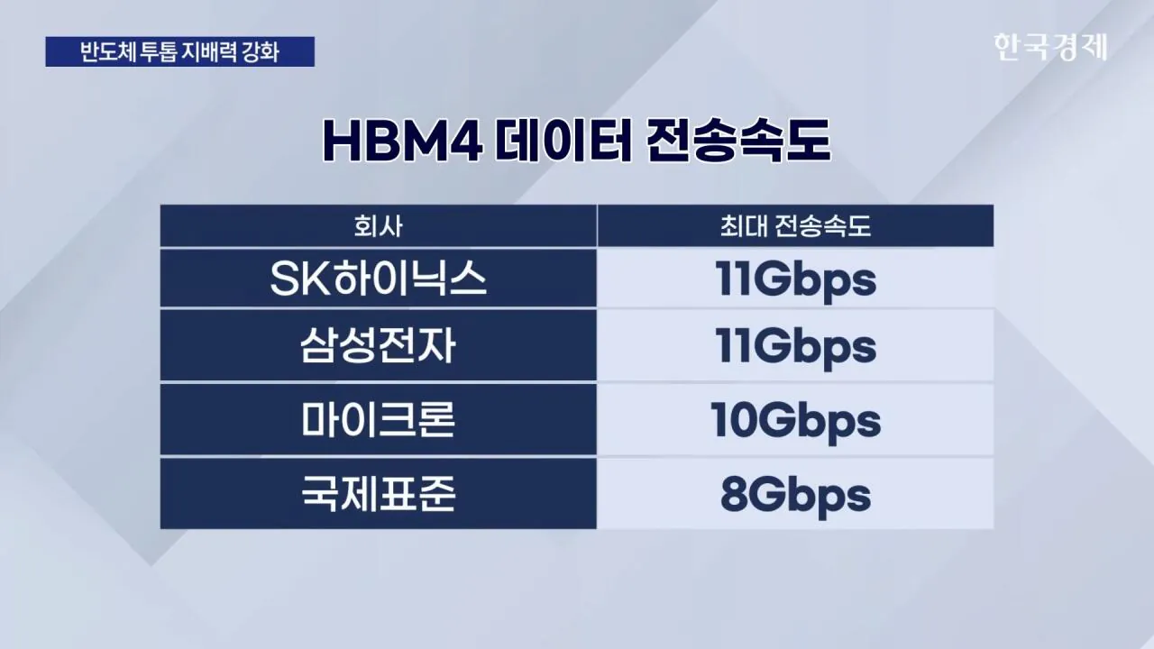 삼성, 하이닉스가 점유율 100% 먹음