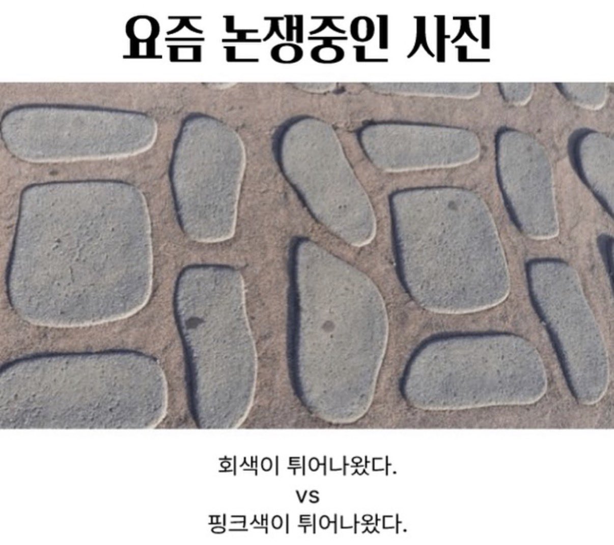 요즘 논쟁중인 사진