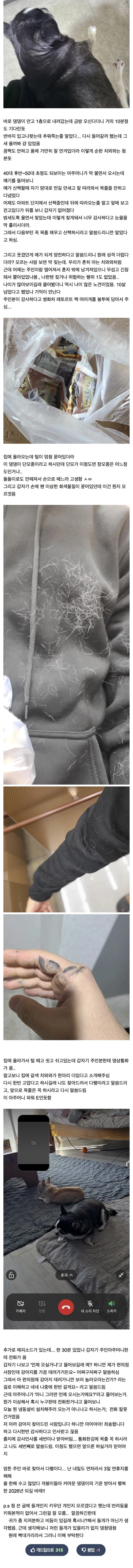 길잃은 뚱뚱 치와와 주인 찾아준 사람.jpg_6.webp