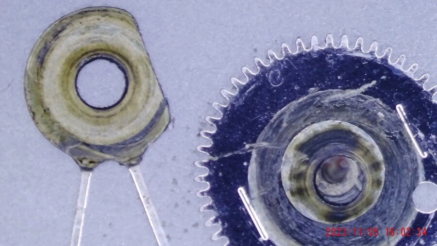 세이코 산호 에디션_7.webp