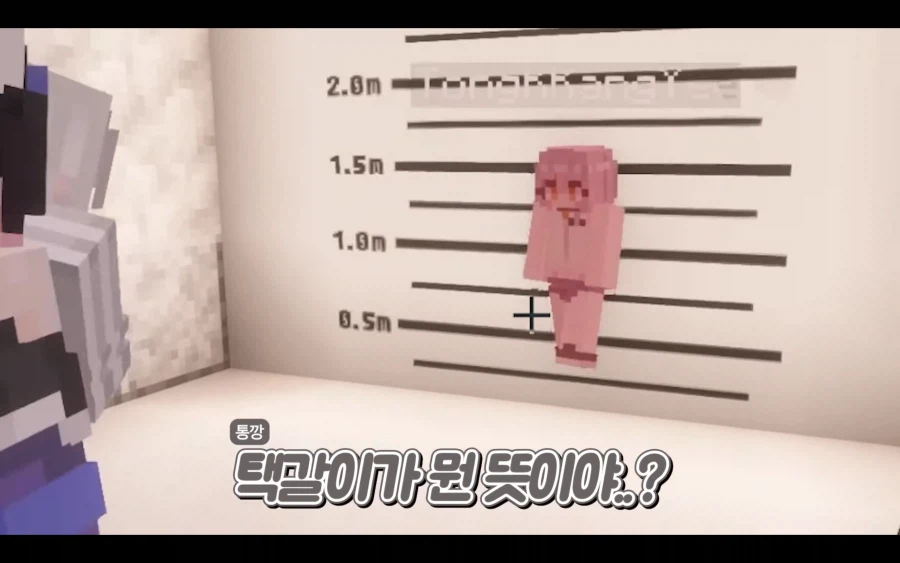 스트리머 죄목 레전드_7.webp