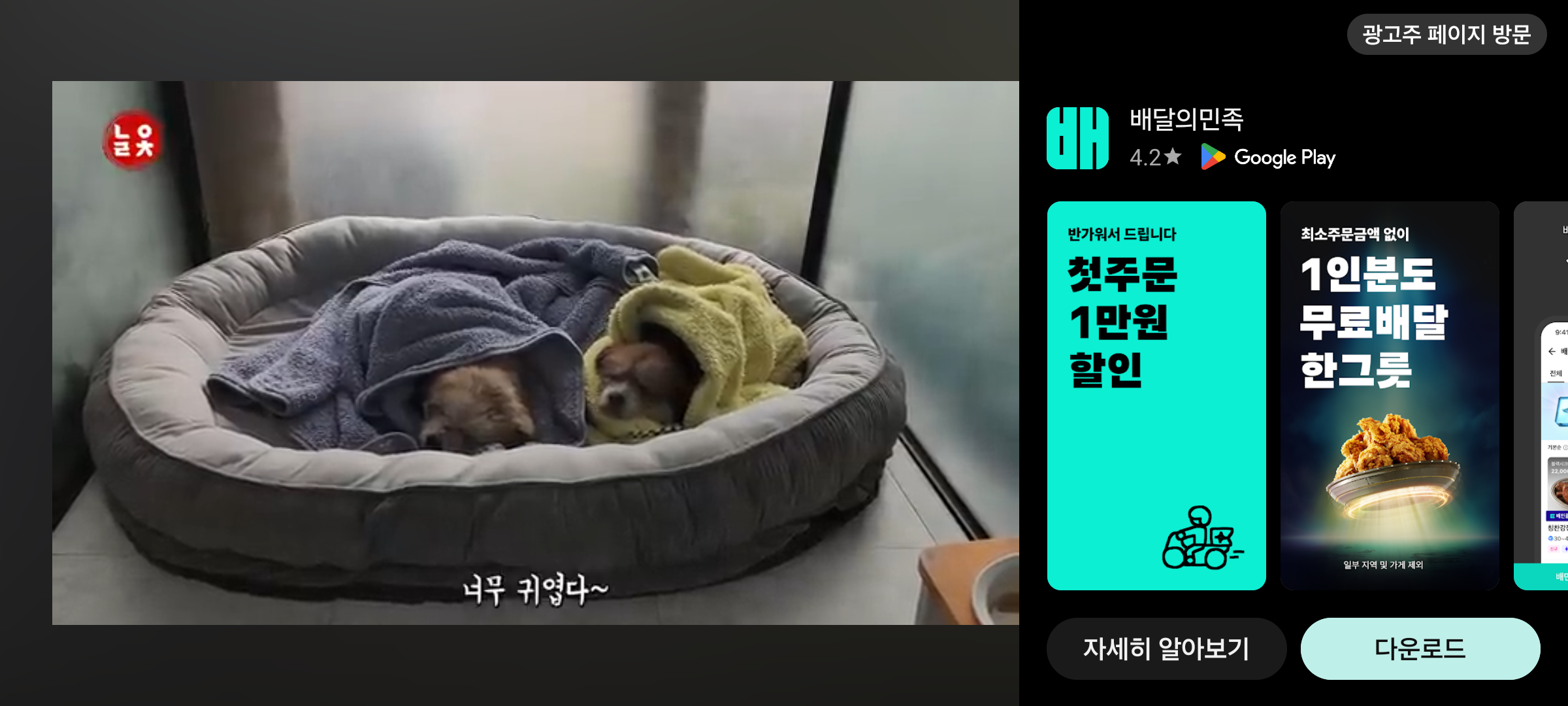 유튜브 가로 화면에도 광고가 ㅎㄷㄷ