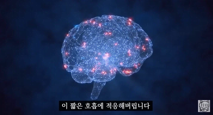 숏폼 중독이 무서운 뇌과학적 이유_16.webp