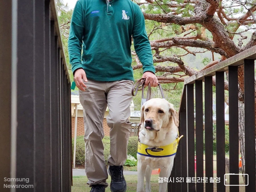 삼성이 33년동안 적자 보면서 유지해온 사업_10.webp