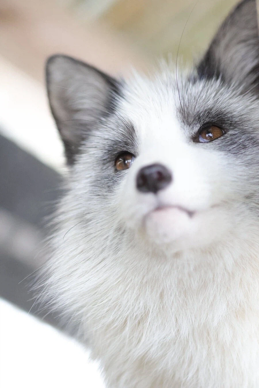 영화 글 쓸때 보람찬거.movie_3.webp