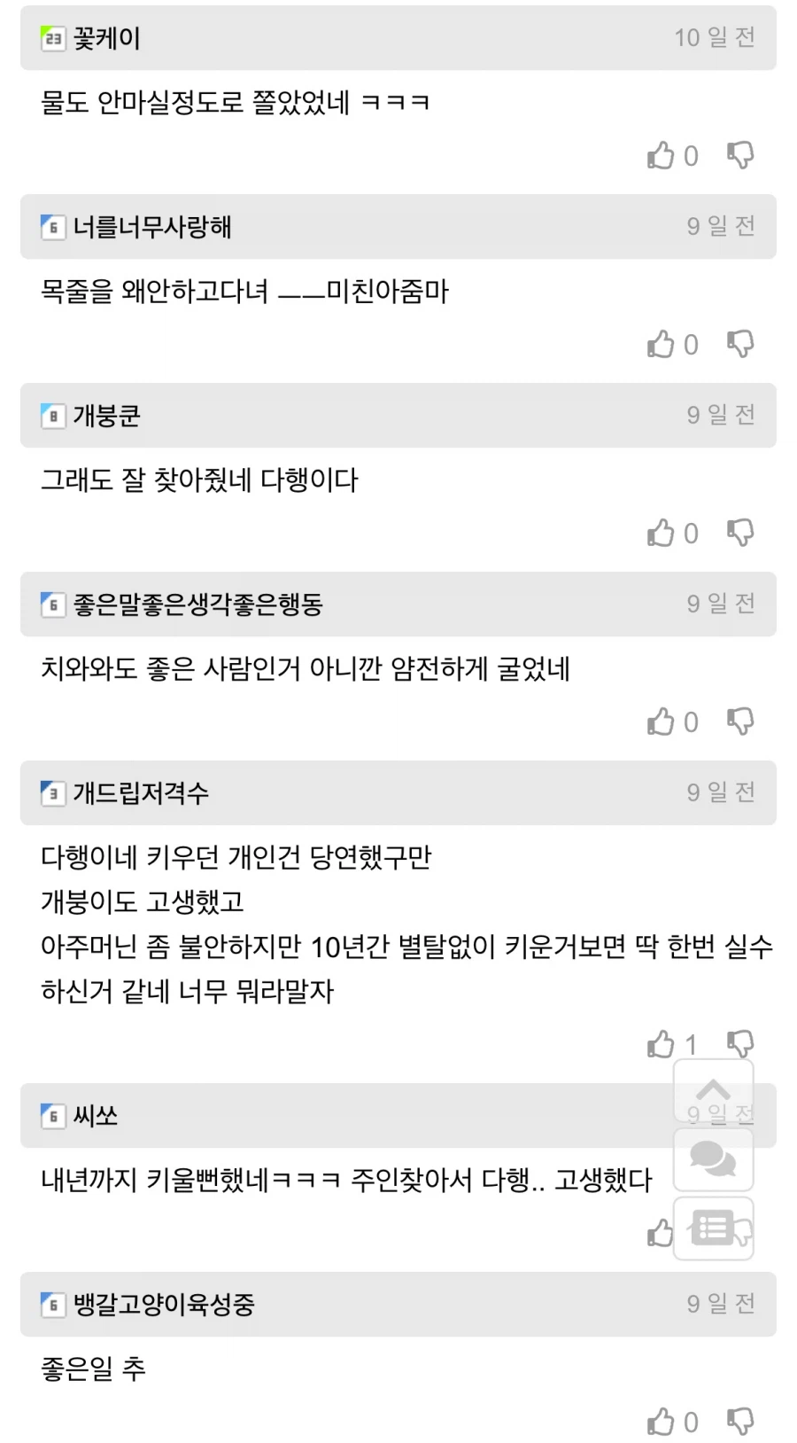 길잃은 뚱뚱 치와와 주인 찾아준 사람.jpg_7.webp