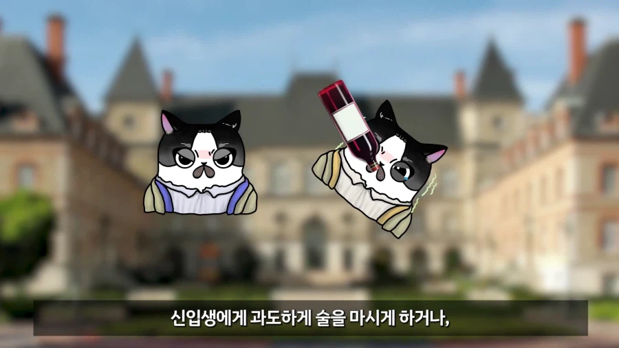 ???: 미개한 동아시아와는 달리 선진 서양에서는 신고식 같은 부조리가 없다_36.webp