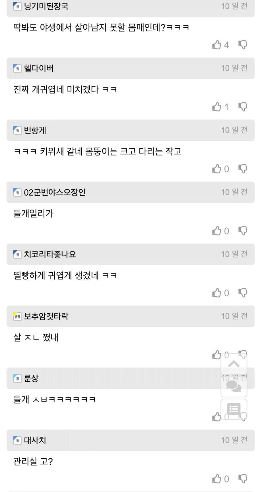 길잃은 뚱뚱 치와와 주인 찾아준 사람.jpg_2.webp