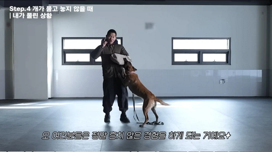 개물림 대처법 알려주는 강형욱_3.webp
