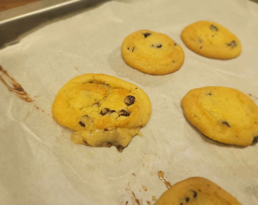 이 캣샛끼 어디갔어 시바_1.webp