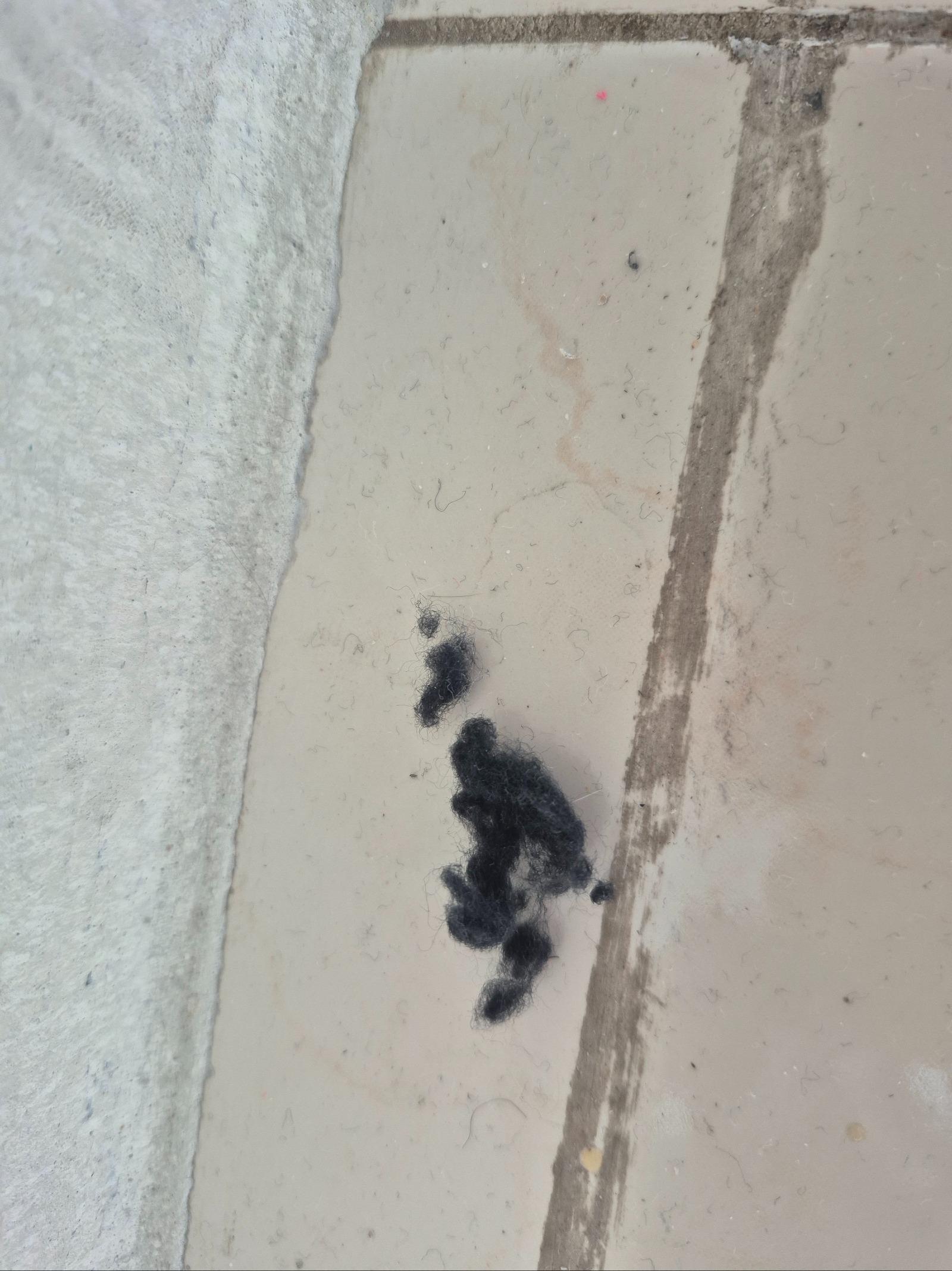 나이키 기모 트레이닝 바지 기모가 막 떨어져 나옵니다