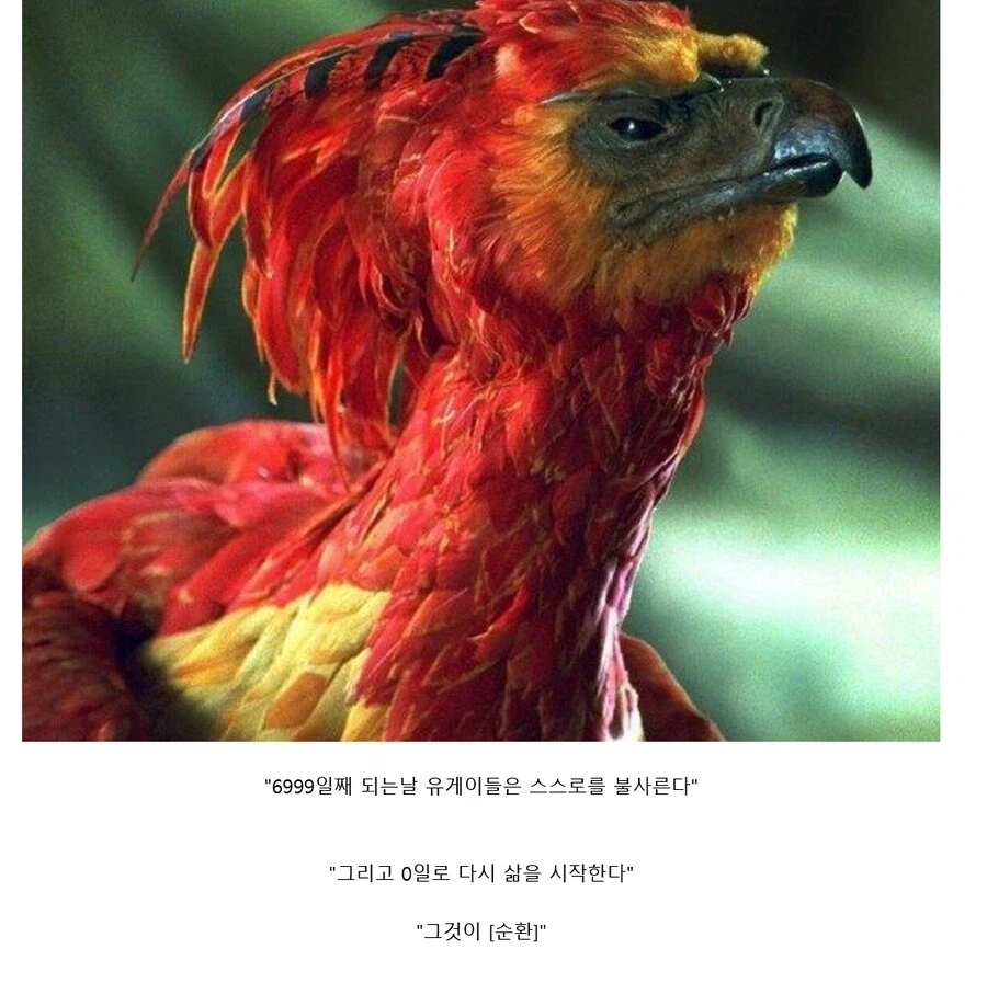 ??? 출석일수 7천일짜리 유게이가 대체 어디있음ㅋㅋㅋ