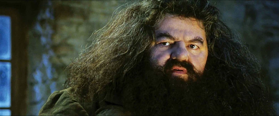 해리포터) 해리가 론에게 금전적 도움을 주지 않은 이유_16.webp