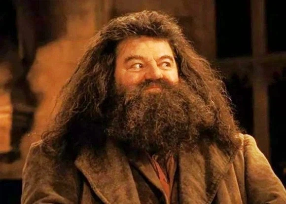 해리포터) 해리가 론에게 금전적 도움을 주지 않은 이유_13.webp