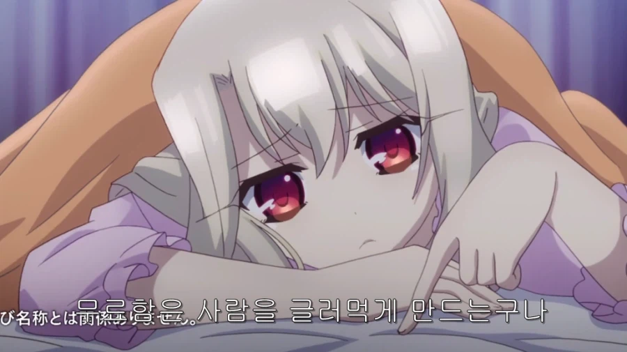 페이트)이리야팬들이 프리야를 이리야루트로 못보는 이유_2.webp