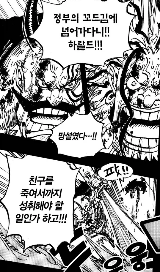 원피스 분석: 록스, 왕을 꿈꾼 정치적 필부의 비극_5.webp