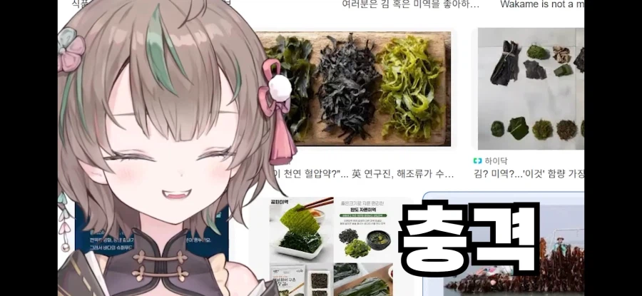 버튜버) 김 말린 게 미역이잖아요!_5.webp
