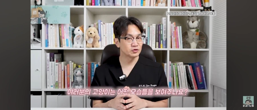 고양이가 집사를 