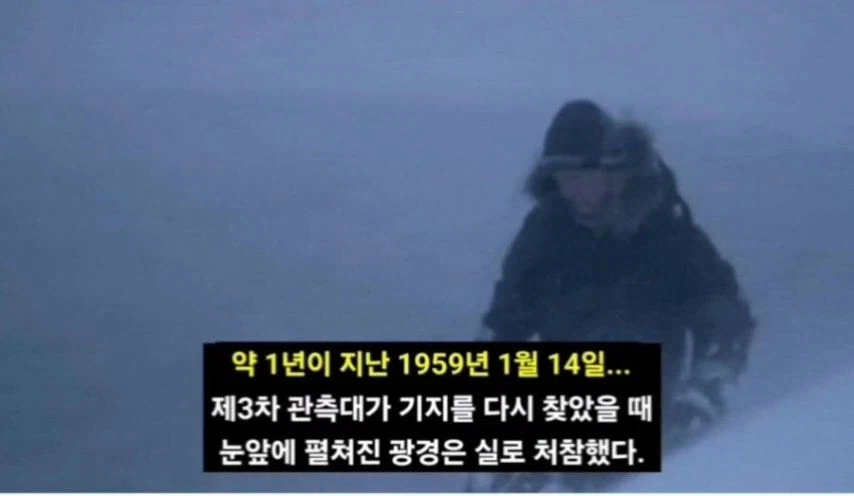 일본이 남극에 버리고간 15마리의 개들_9.webp