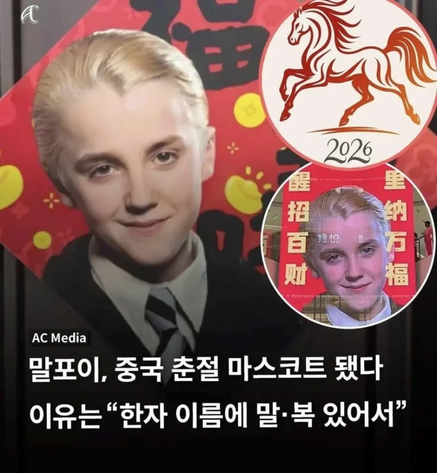 현재 중국에서 인기라는 말포이_1.webp