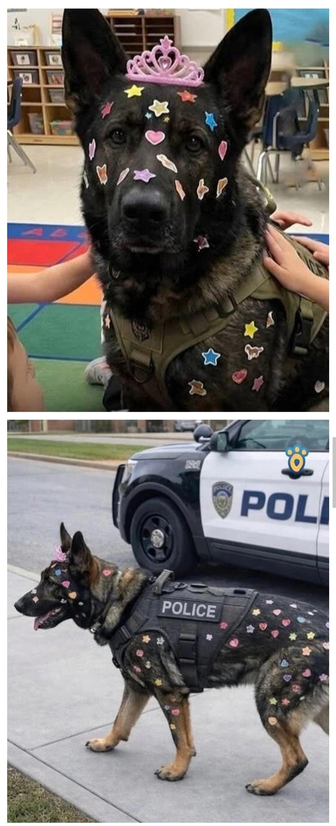 유치원에 갔다가 변신한 경찰견