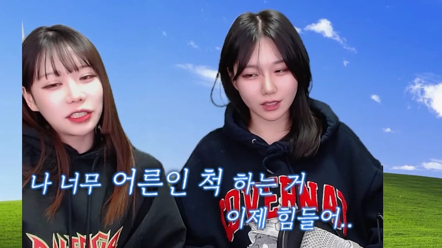 의외로 다 큰 성인이 되어도 생각하는 것.jpg