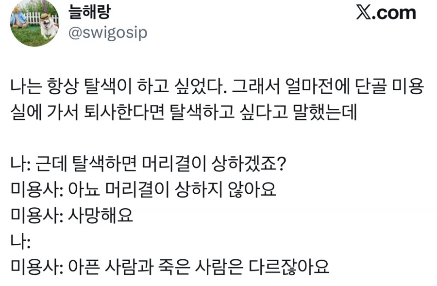 탈색한다고 머릿결이 상하는 건 아니다.jpg_1.webp