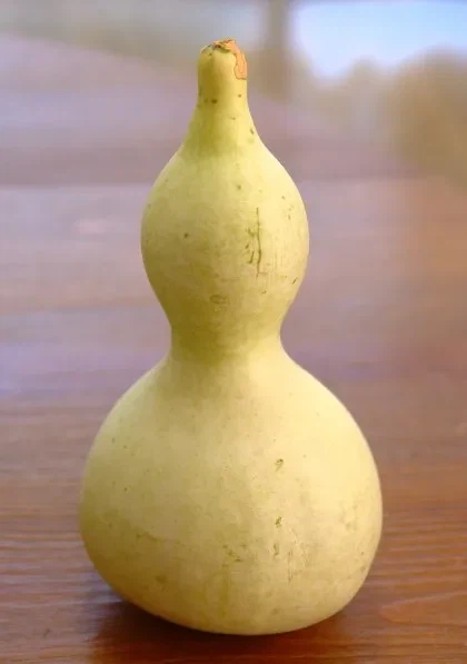 솔직히 레콘이 뭐 최강의 종족이니 뭐니 하는데 그거다 거품임