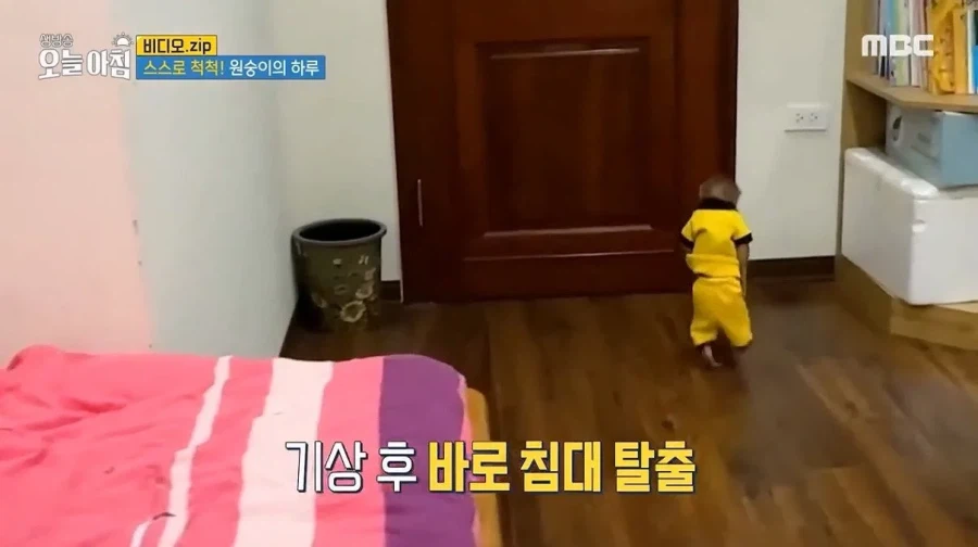 상위 1% 원숭이_4.webp