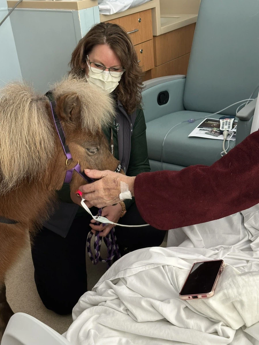 호스테라피 라고 말이 병원에 방문에 교감하는게 있는데..._3.webp