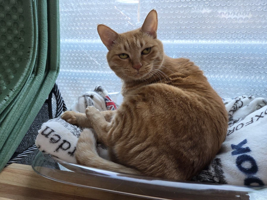 경찰에 자수하러 가겠습니다