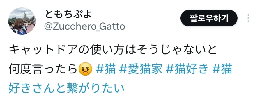 캣도어 이상하게 쓰는 고양이.jpg_1.webp