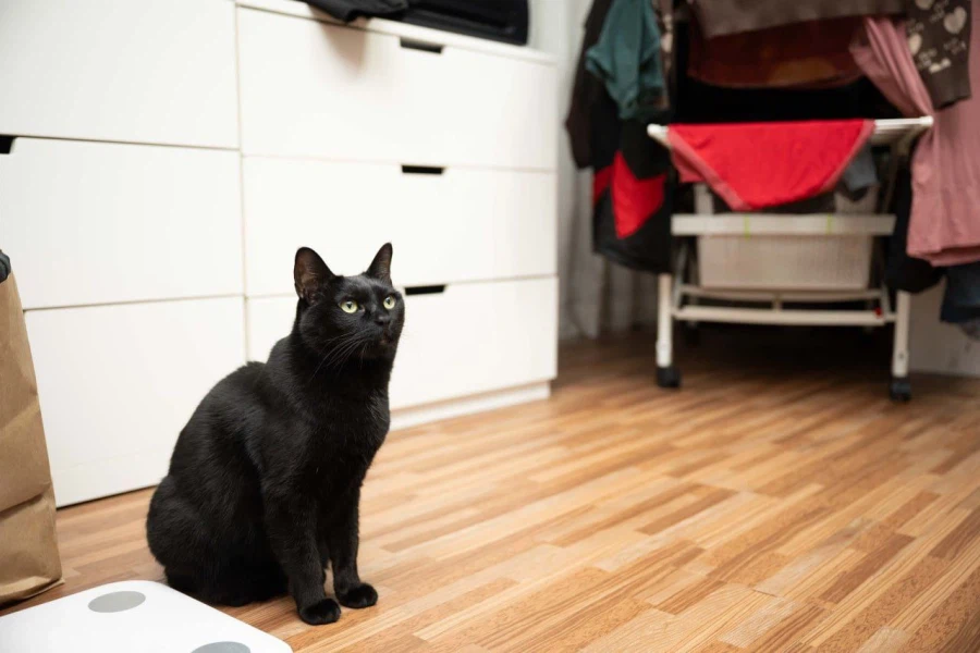 빚 갚을때 정신을 붙잡아준것...._8.webp